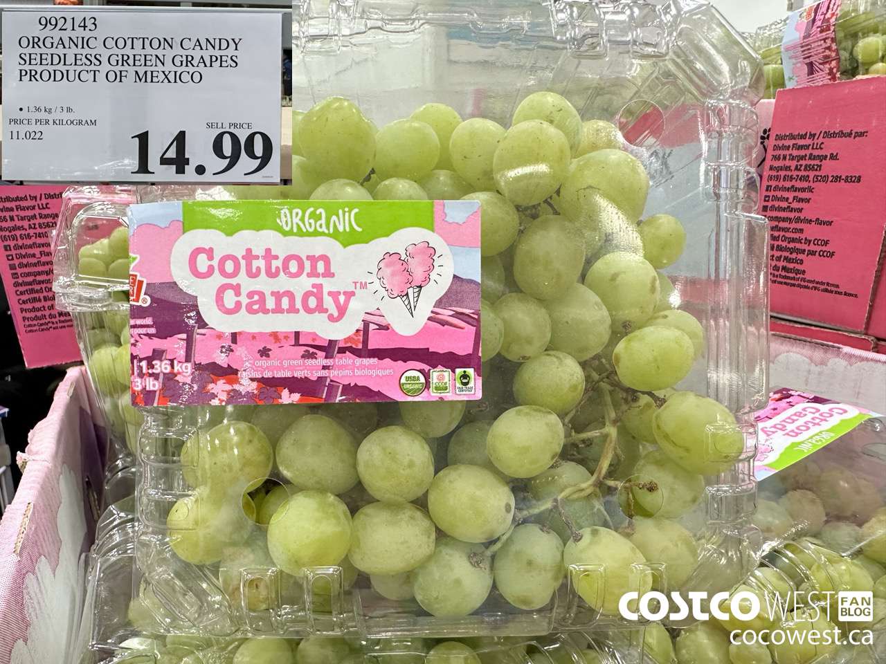 992143 ORGANIC COTTON CANDY SEEDLESS GREEN GRAPES PRODUCT OF MEXICO $14.99