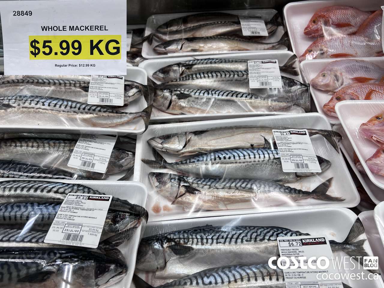 28849 PF MACKEREL (HEAD ON) WILD ($7.00 INSTANT SAVINGS) $5.99