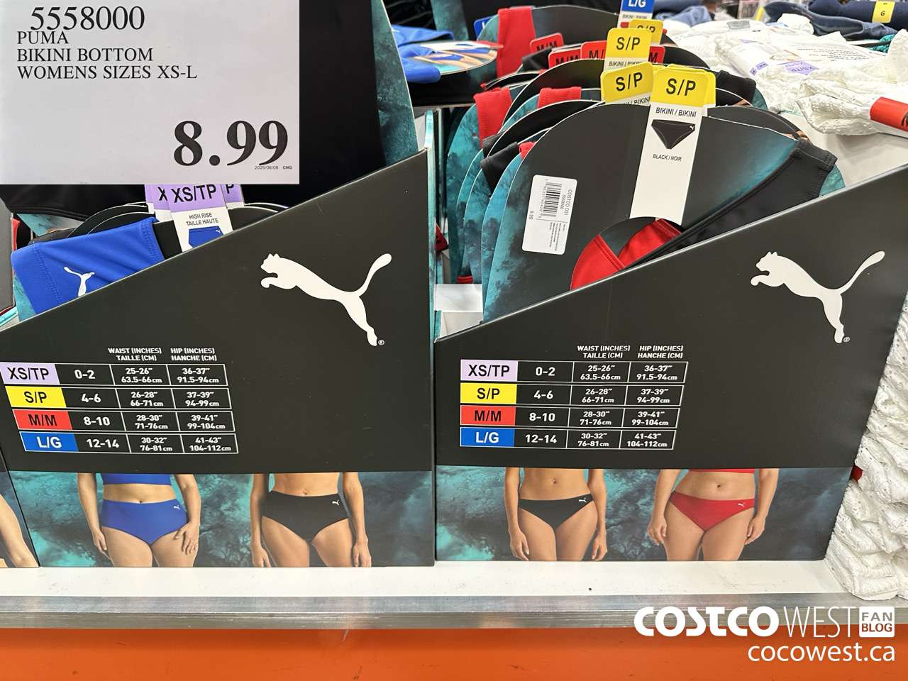 5558000 PUMA BIKINI BOTTOM WOMENS SIZES XS-L $8.99