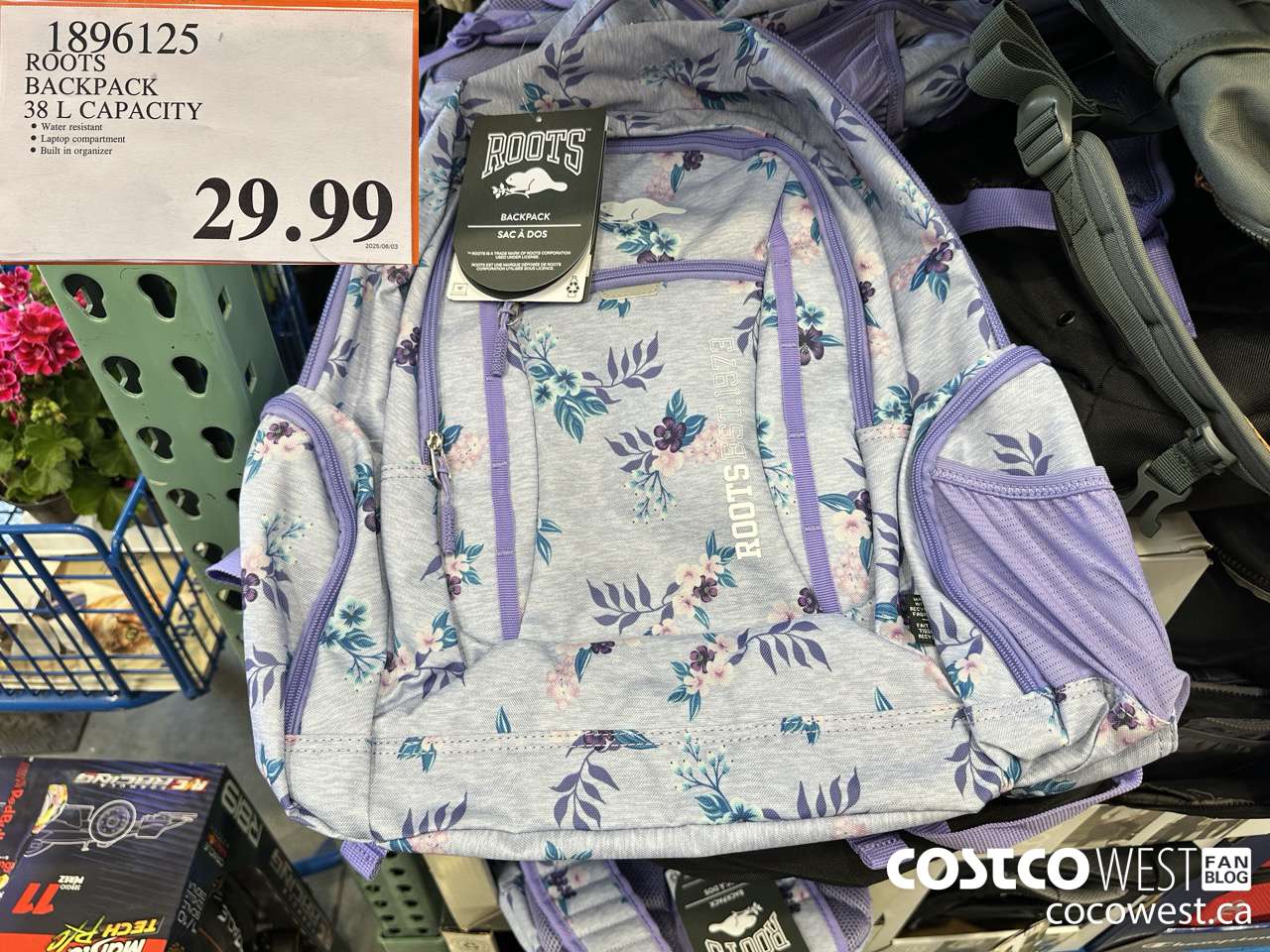 1896125 ROOTS BACKPACK 38L CAPACITY $29.99