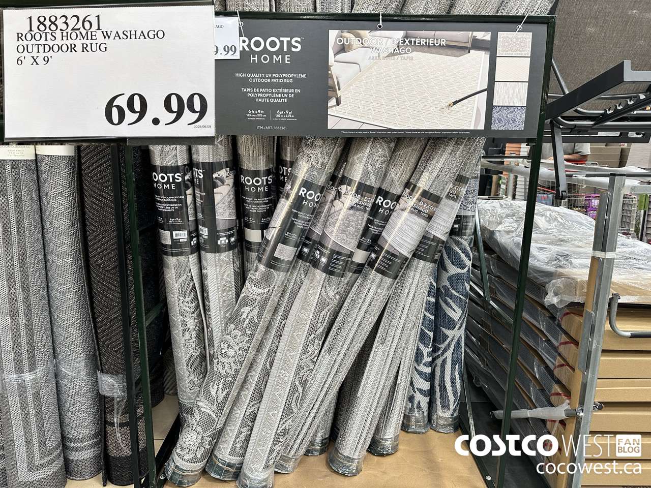 1883261 ROOTS HOME WASHAGO OUTDOOR RUG 6' X 9' $69.99