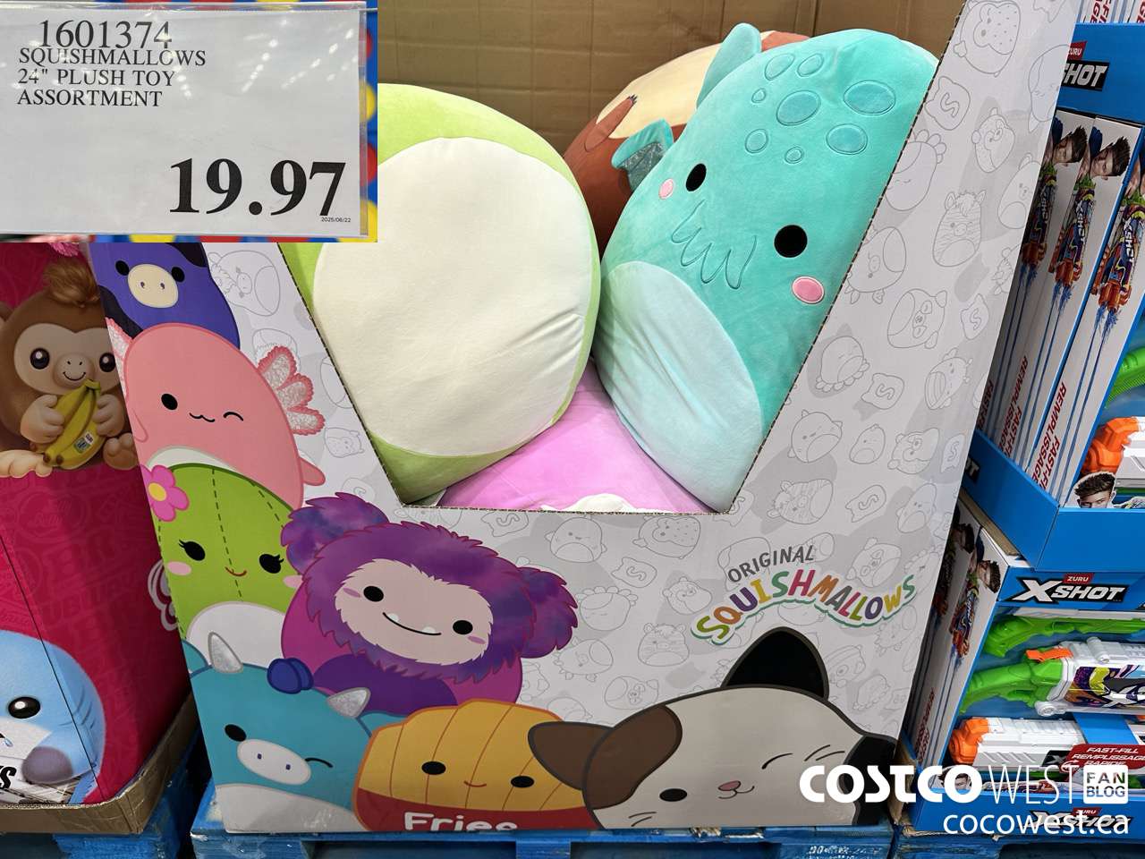 1601374 SQUISHMALLOWS 24