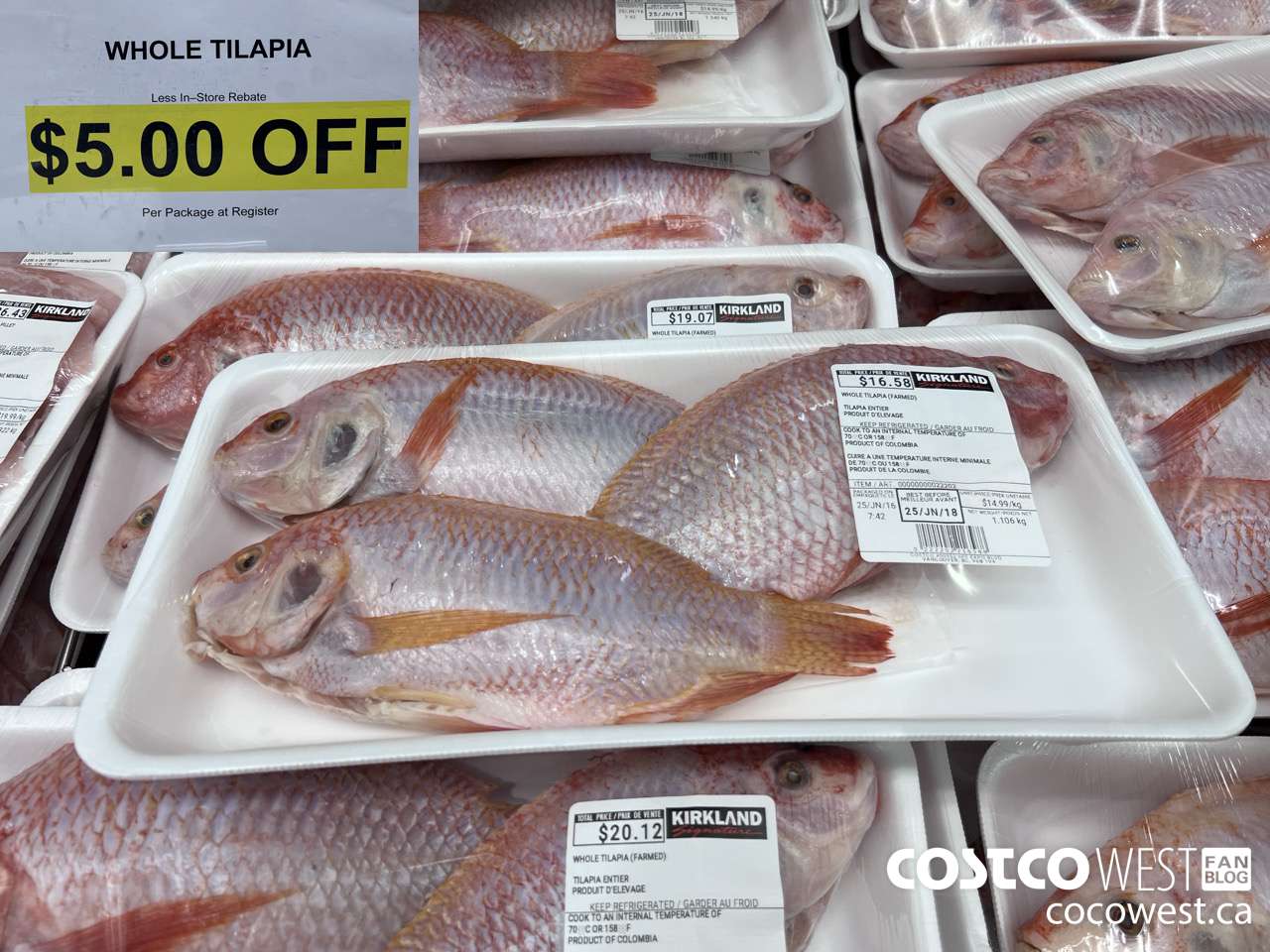 22202 WHOLE TILAPIA (FARMED) ($5.00 INSTANT SAVINGS)