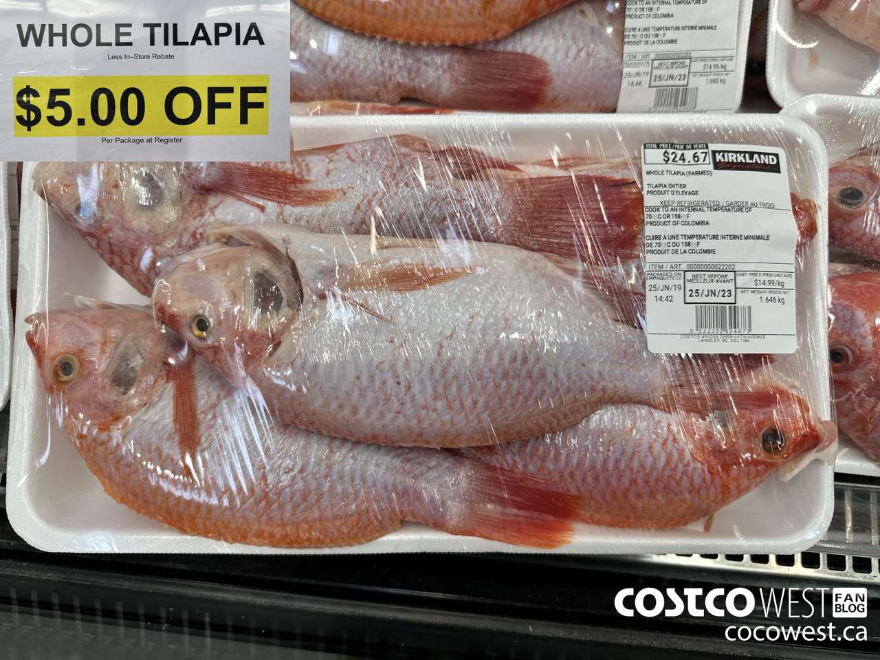 22202 WHOLE TILAPIA (FARMED) ($5.00 INSTANT SAVINGS)