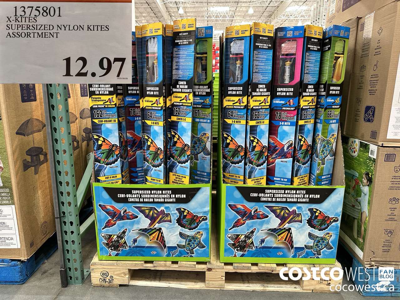 1375801 X-KITES SUPERSIZED NYLON KITES ASSORTMENT $12.97