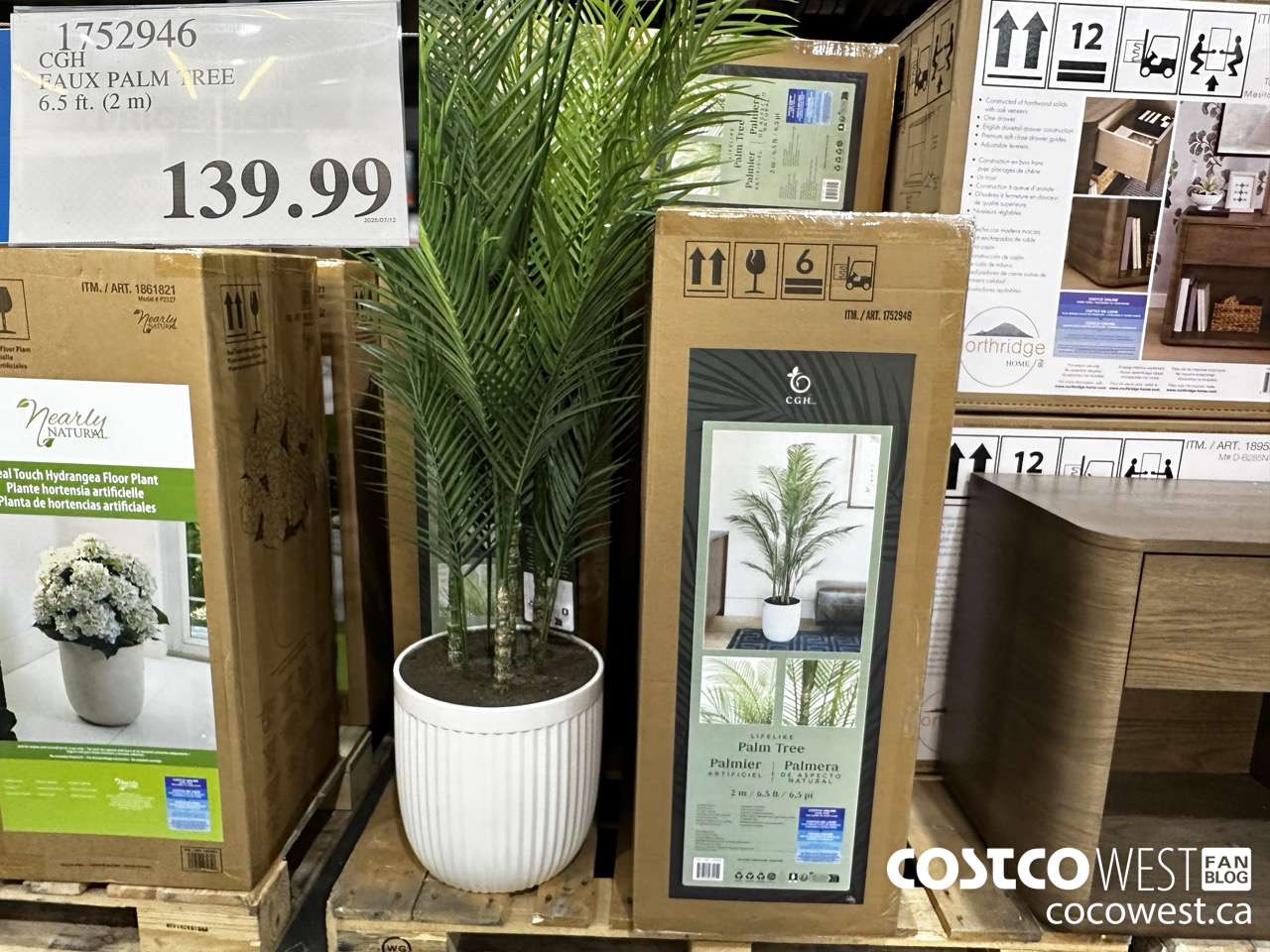 1752946 BEAUMONT DESIGNS 6.5FT FAUX PALM TREE PAL-24042PC P6TH6 1BX $139.99