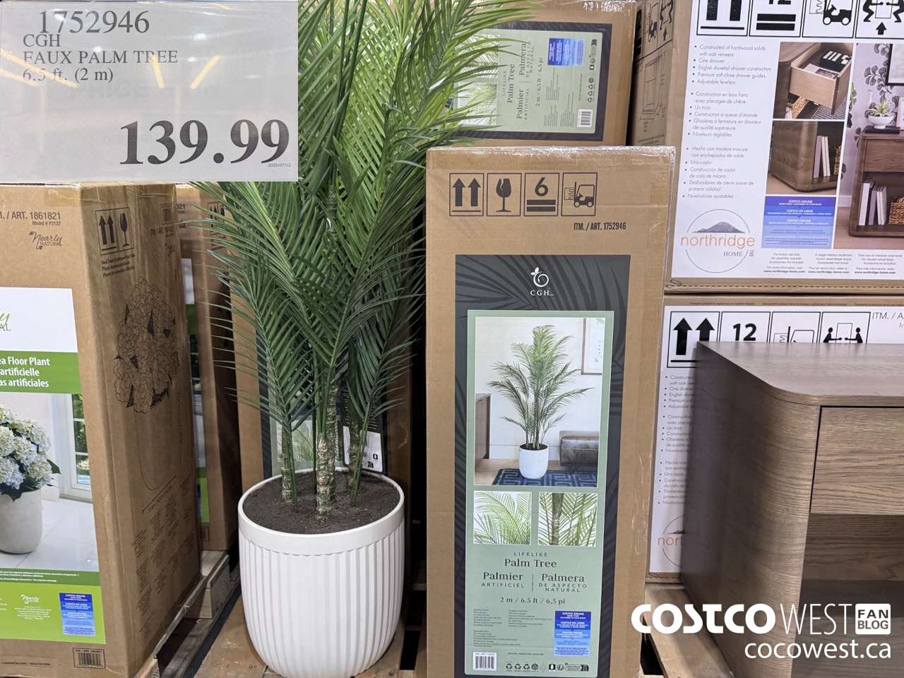 1752946 BEAUMONT DESIGNS 6.5FT FAUX PALM TREE PAL-24042PC P6TH6 1BX $139.99