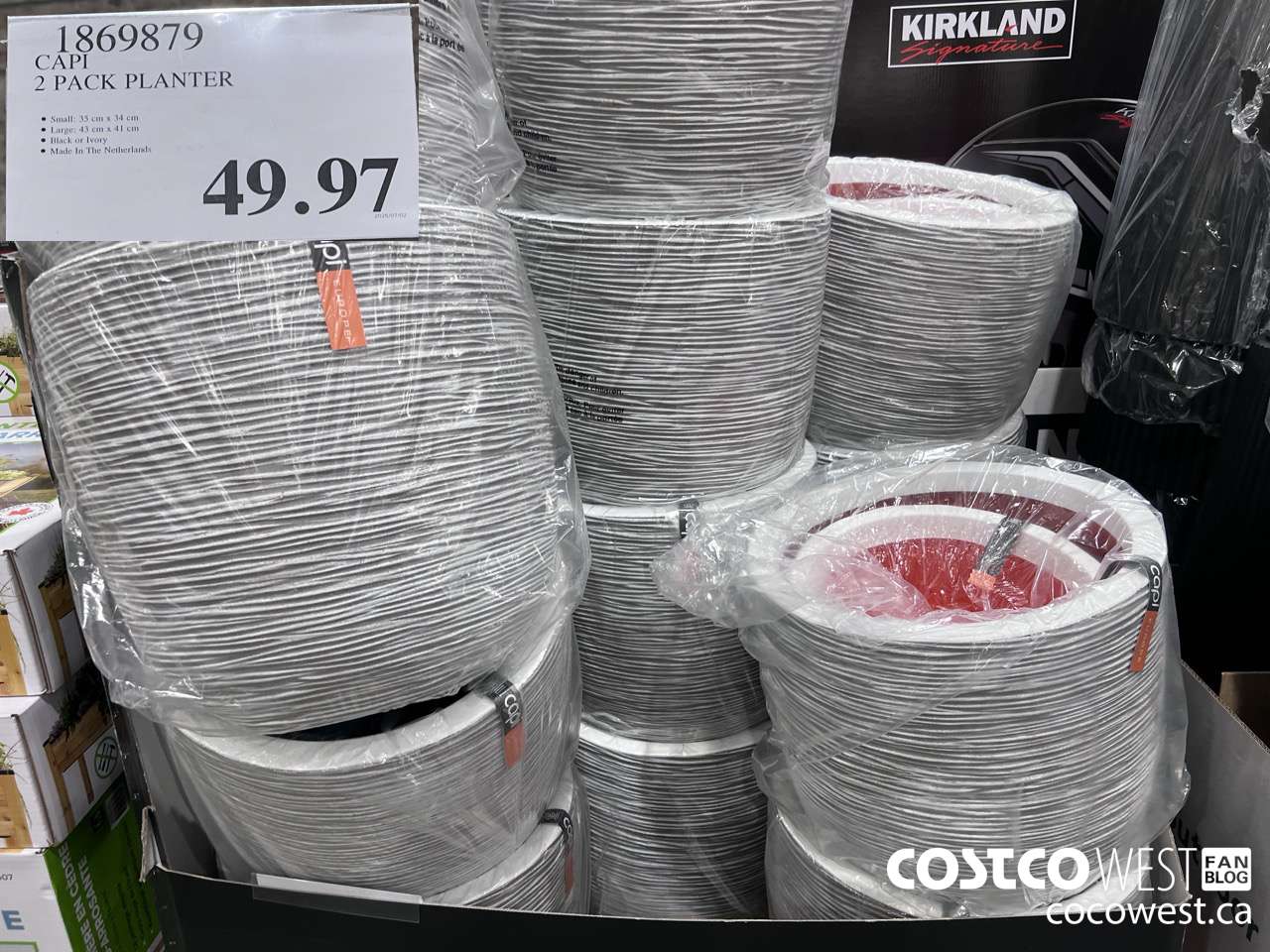 1869879 CAPI 2 PACK PLANTER $49.97