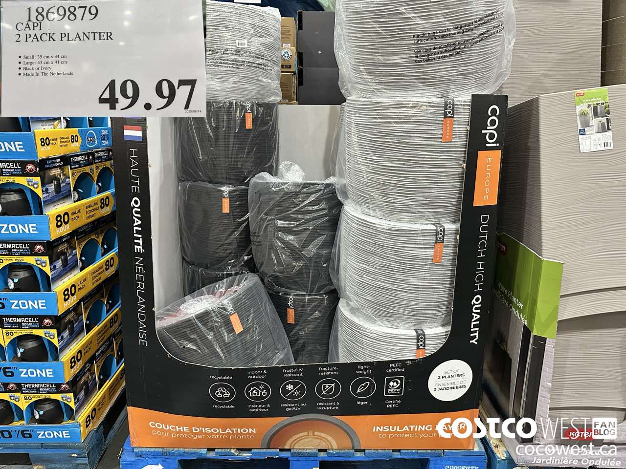 1869879 CAPI 2 PACK PLANTER $49.97