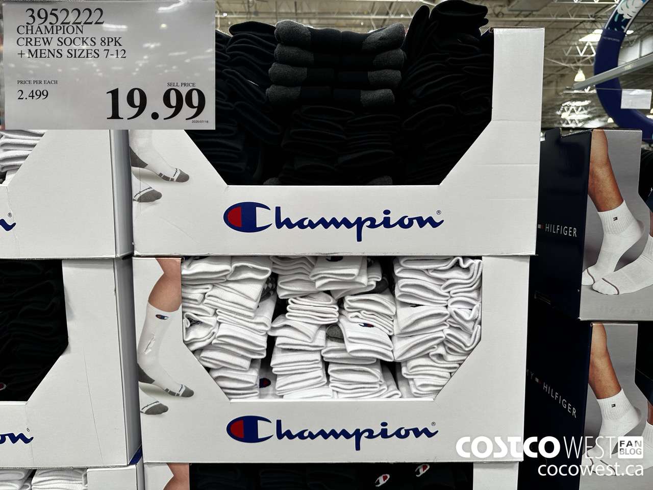 3952222 CHAMPION CREW SOCKS 8PK MENS SIZES 7-12 $19.99