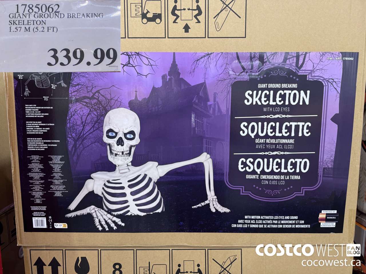 1785062 GIANT GROUND BREAKING SKELETON 1.57M (5.2FT) $339.99