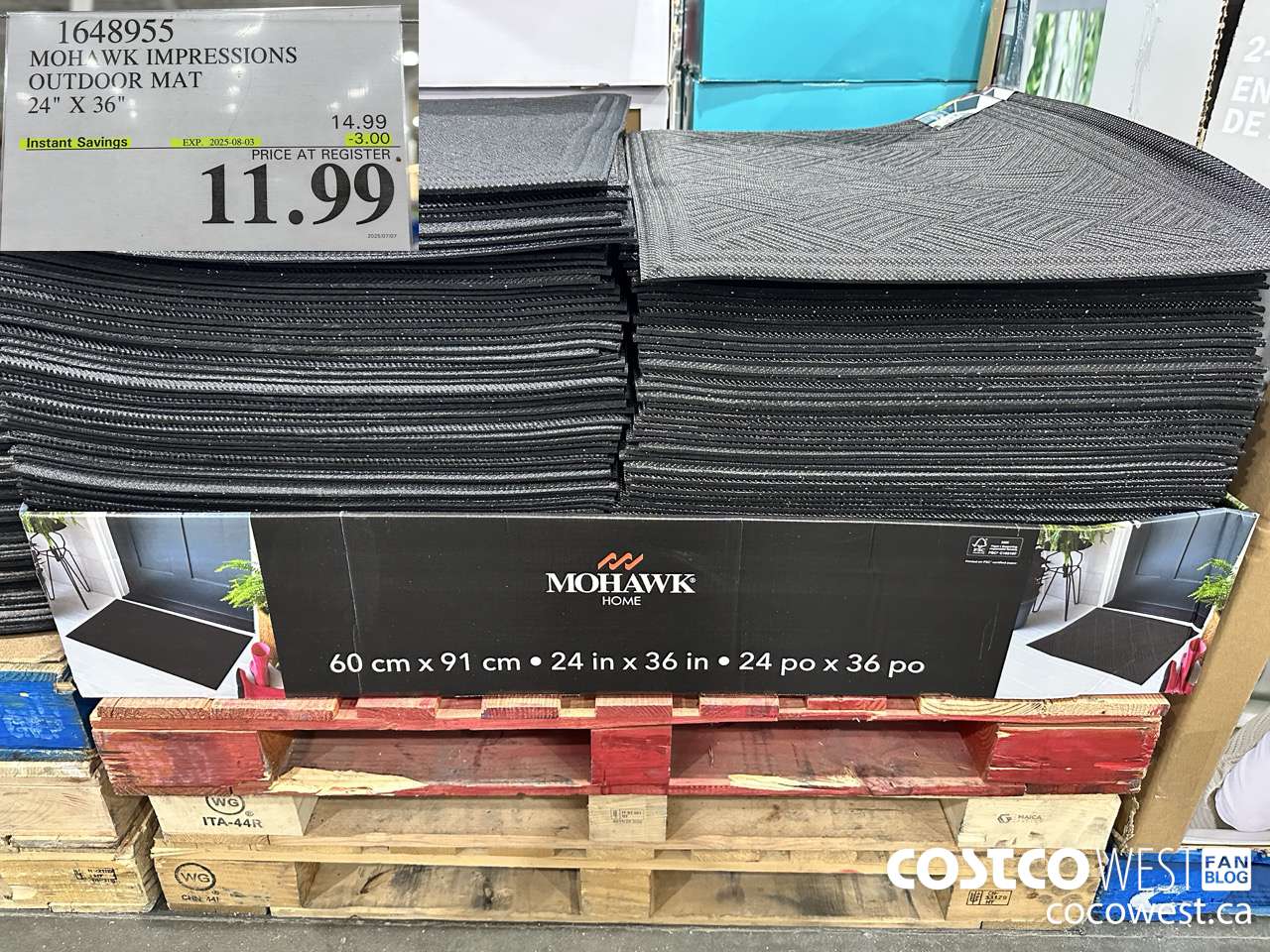 1648955 IMPRESSIONS DOOR MAT 24