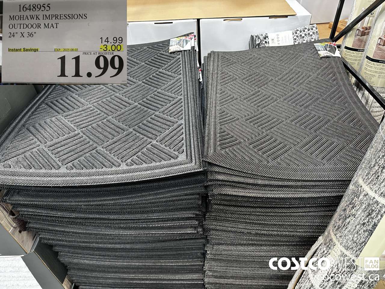 1648955 IMPRESSIONS DOOR MAT 24