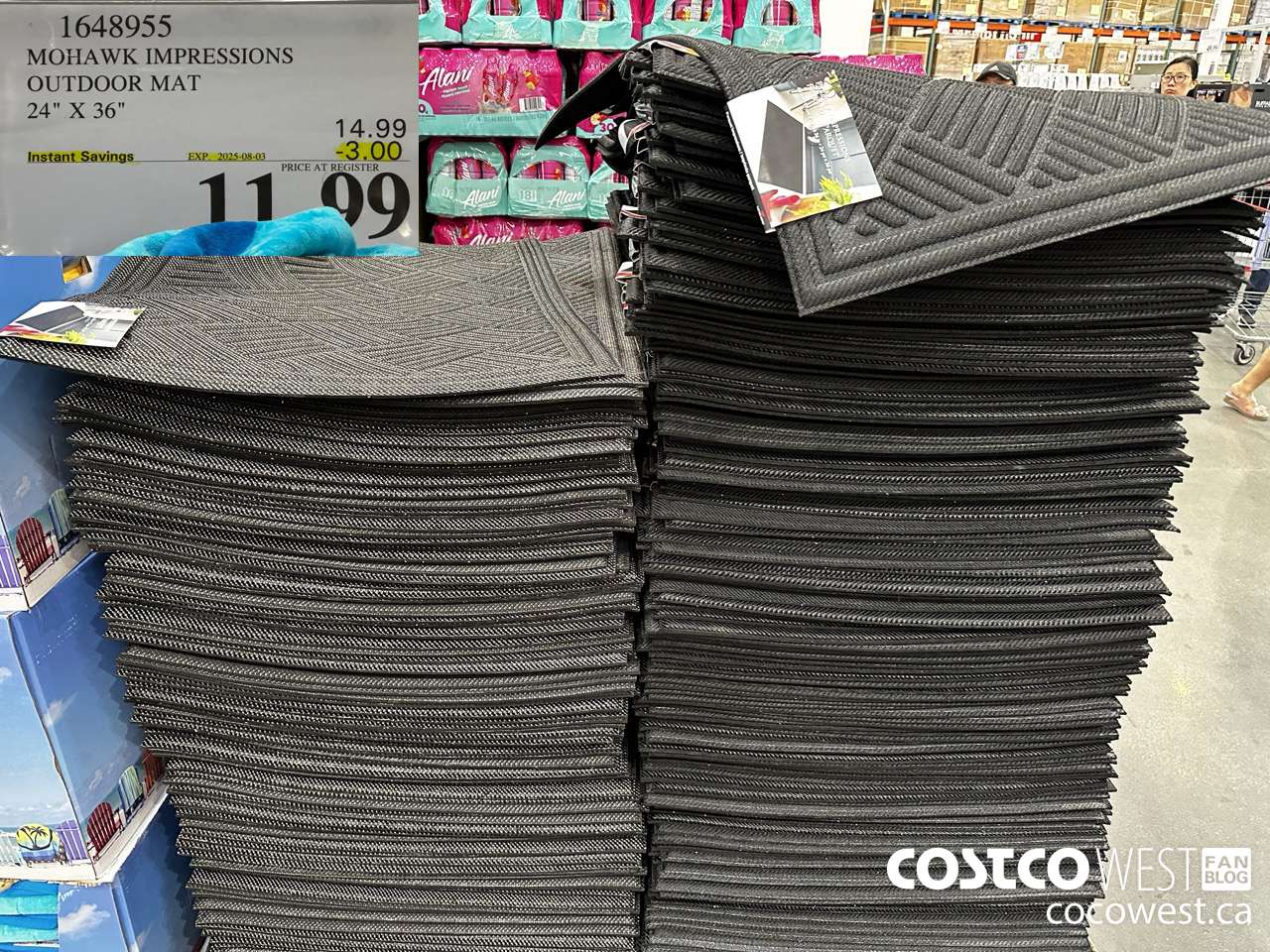 1648955 IMPRESSIONS DOOR MAT 24