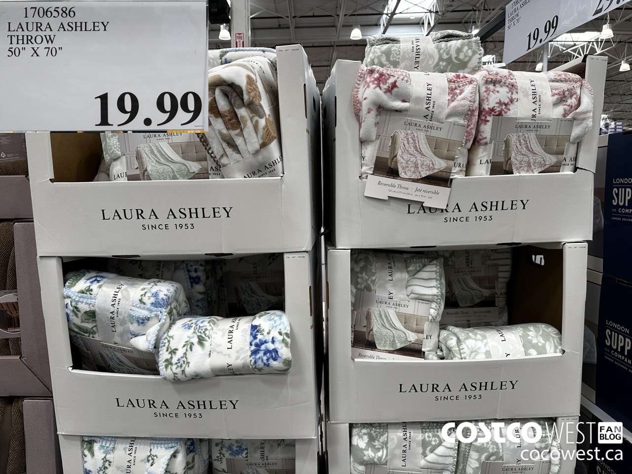 1706586 LAURA ASHLEY THROW 50