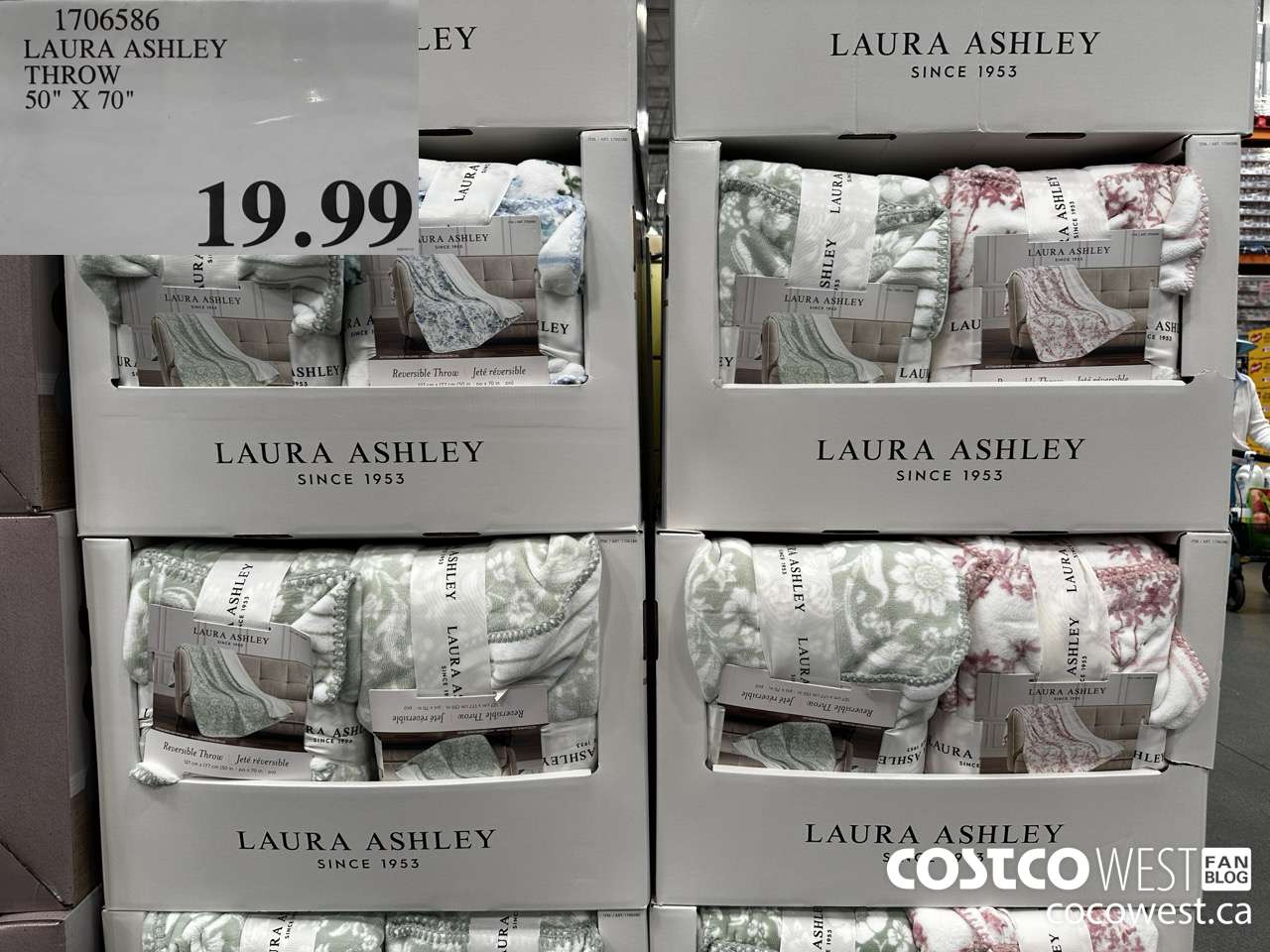 1706586 LAURA ASHLEY THROW 50