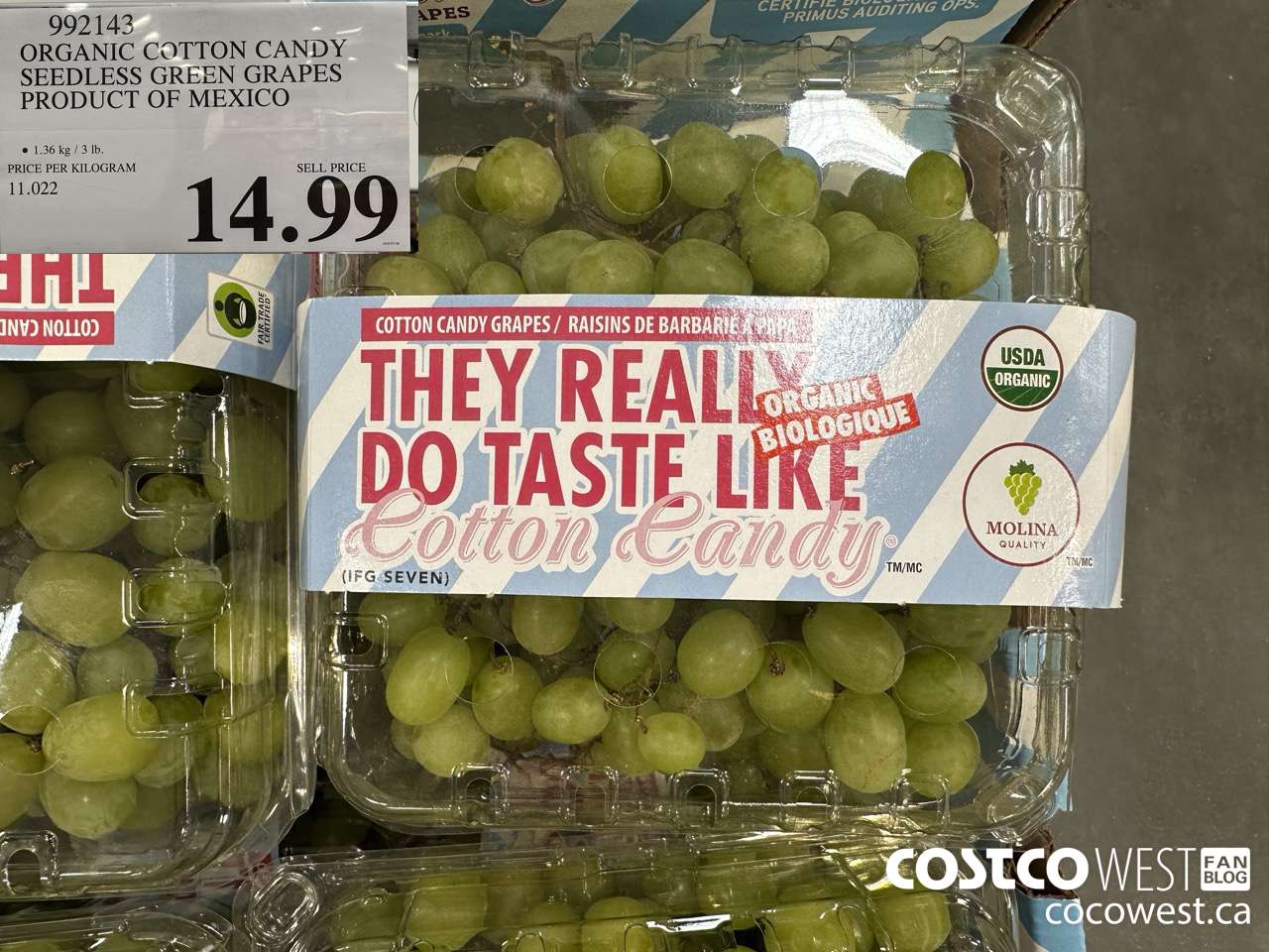 992143 ORGANIC COTTON CANDY SEEDLESS GREEN GRAPES PRODUCT OF MEXICO $14.99