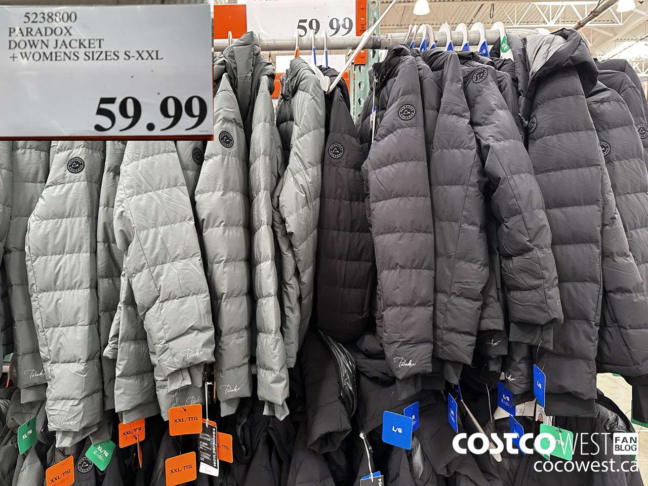 5238800 PARADOX DOWN JACKET WOMENS SIZES S-XXL $59.99