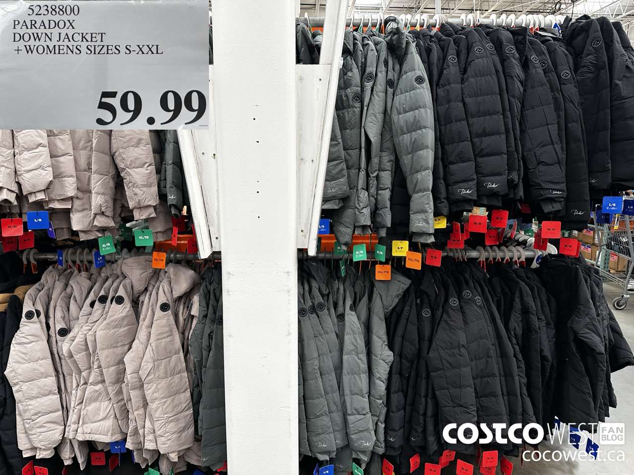 5238800 PARADOX DOWN JACKET WOMENS SIZES S-XXL $59.99