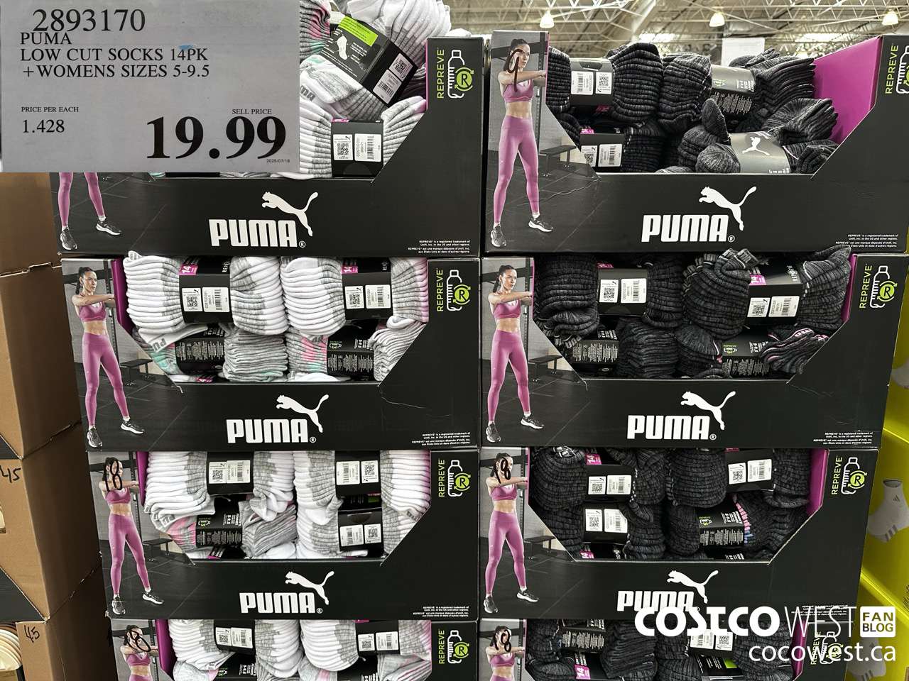 2893170 PUMA LOW CUT SOCKS 14PK WOMENS SIZES 5-9.5 $19.99