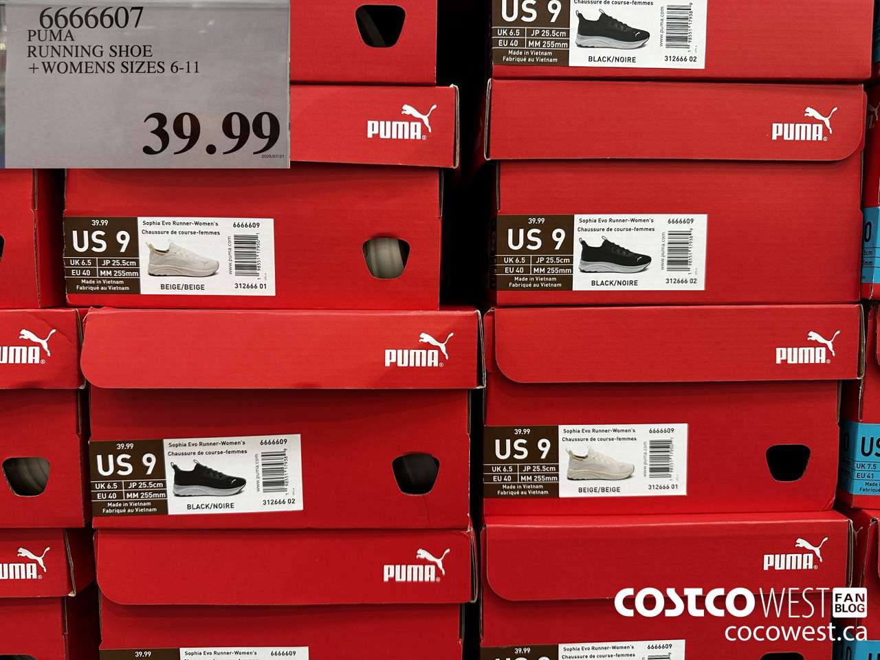 6666607 PUMA RUNNING SHOE WOMENS SIZES 6-11 $39.99