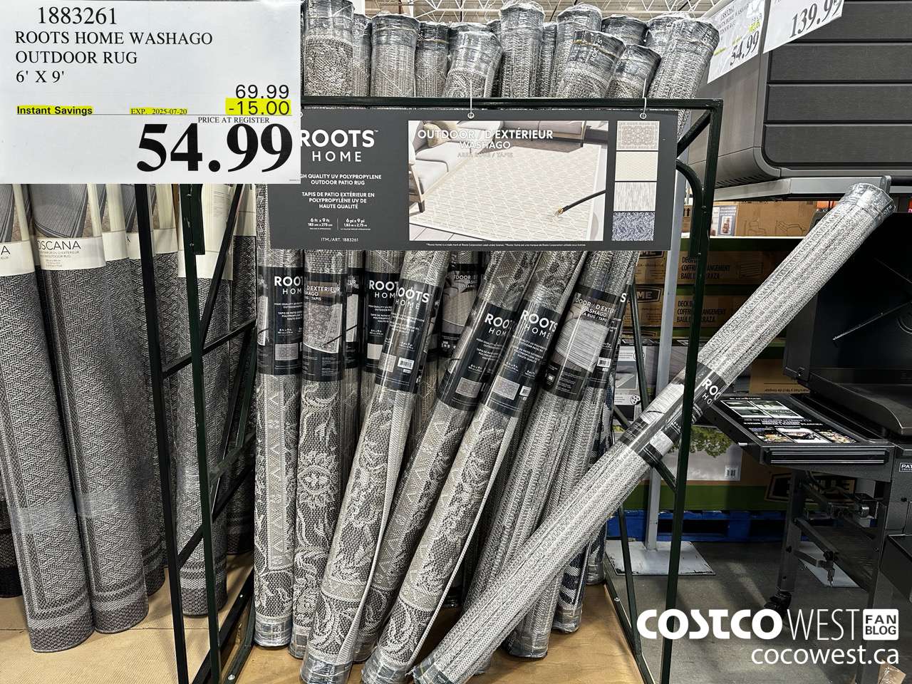 1883261 ROOTS HOME WASHAGO OUTDOOR RUG 6' X 9' ($15.00 INSTANT SAVINGS EXPIRES ON 2025-07-20) $54.99