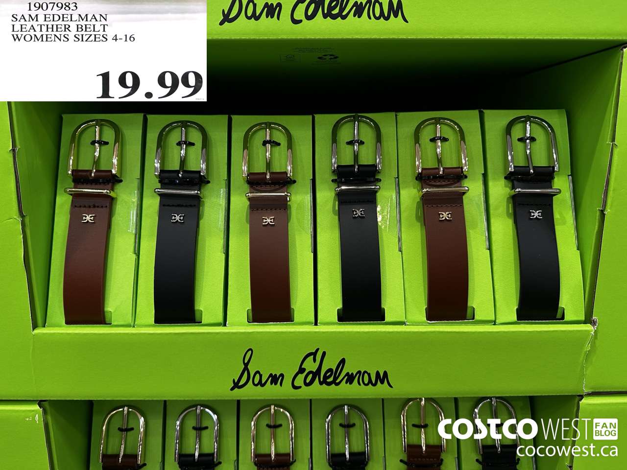 1907983 SAM EDELMAN LEATHER BELT WOMENS SIZES 4-16 $19.99