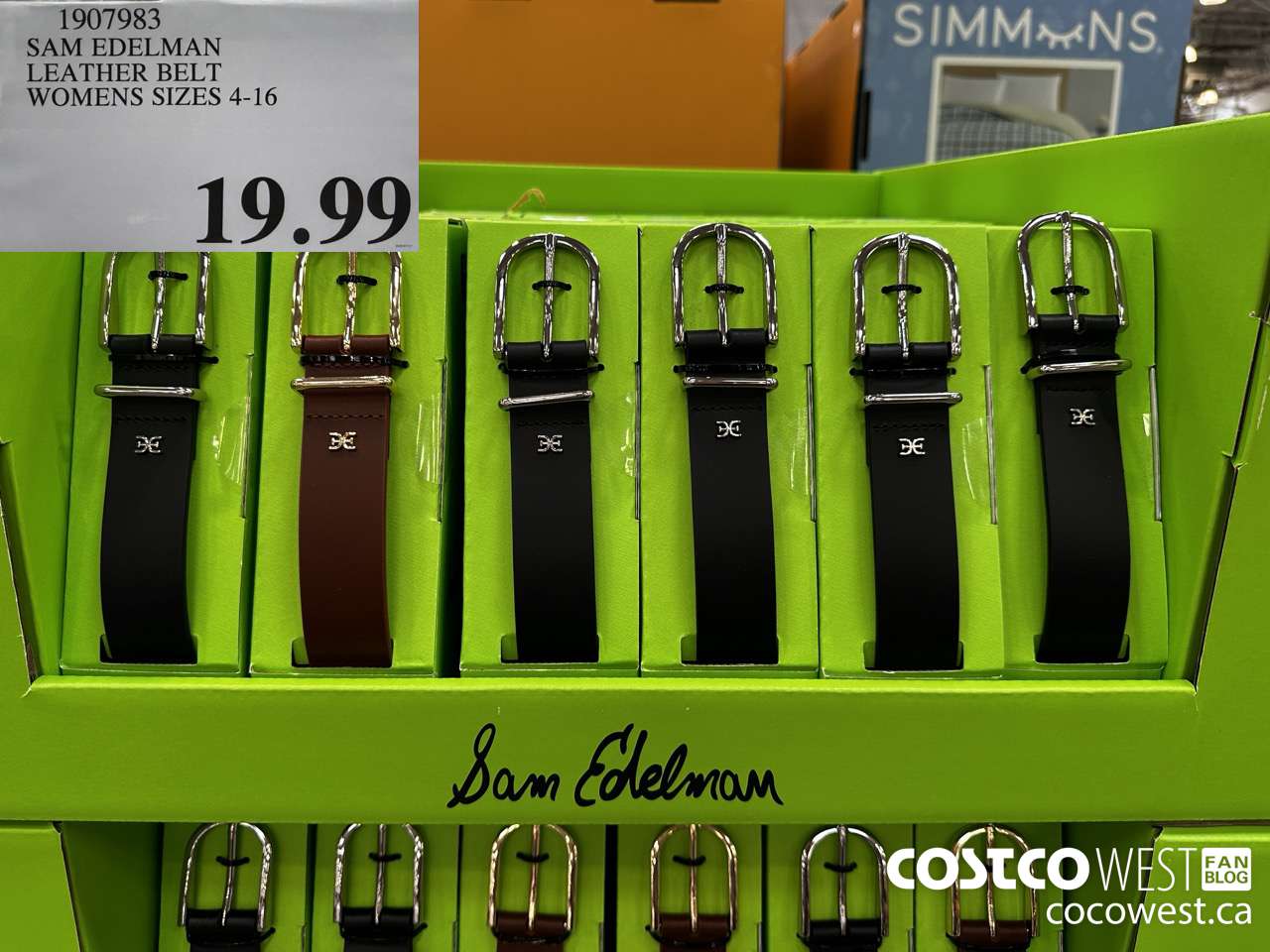 1907983 SAM EDELMAN LEATHER BELT WOMENS SIZES 4-16 $19.99