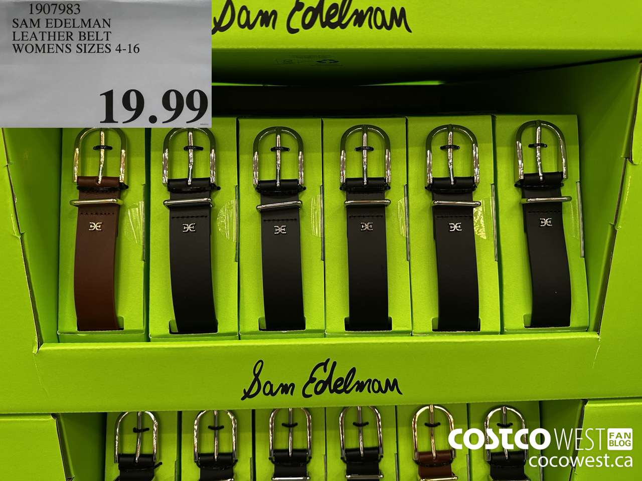 1907983 SAM EDELMAN LEATHER BELT WOMENS SIZES 4-16 $19.99