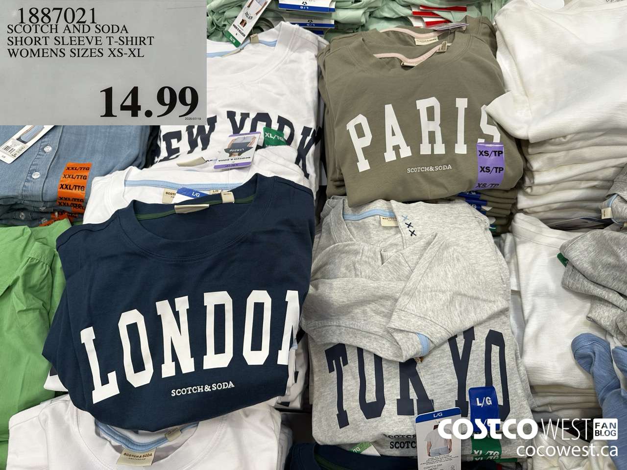 1887021 SCOTCH AND SODA SHORT SLEEVE T-SHIRT WOMENS SIZES XS-XL  $14.99