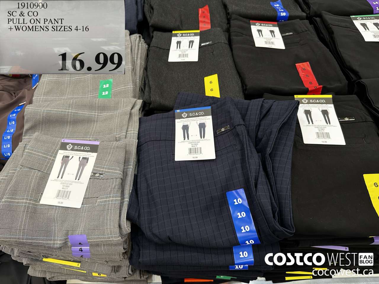 1910900 SC & CO PULL ON PANT WOMENS SIZES 4-16  $16.99