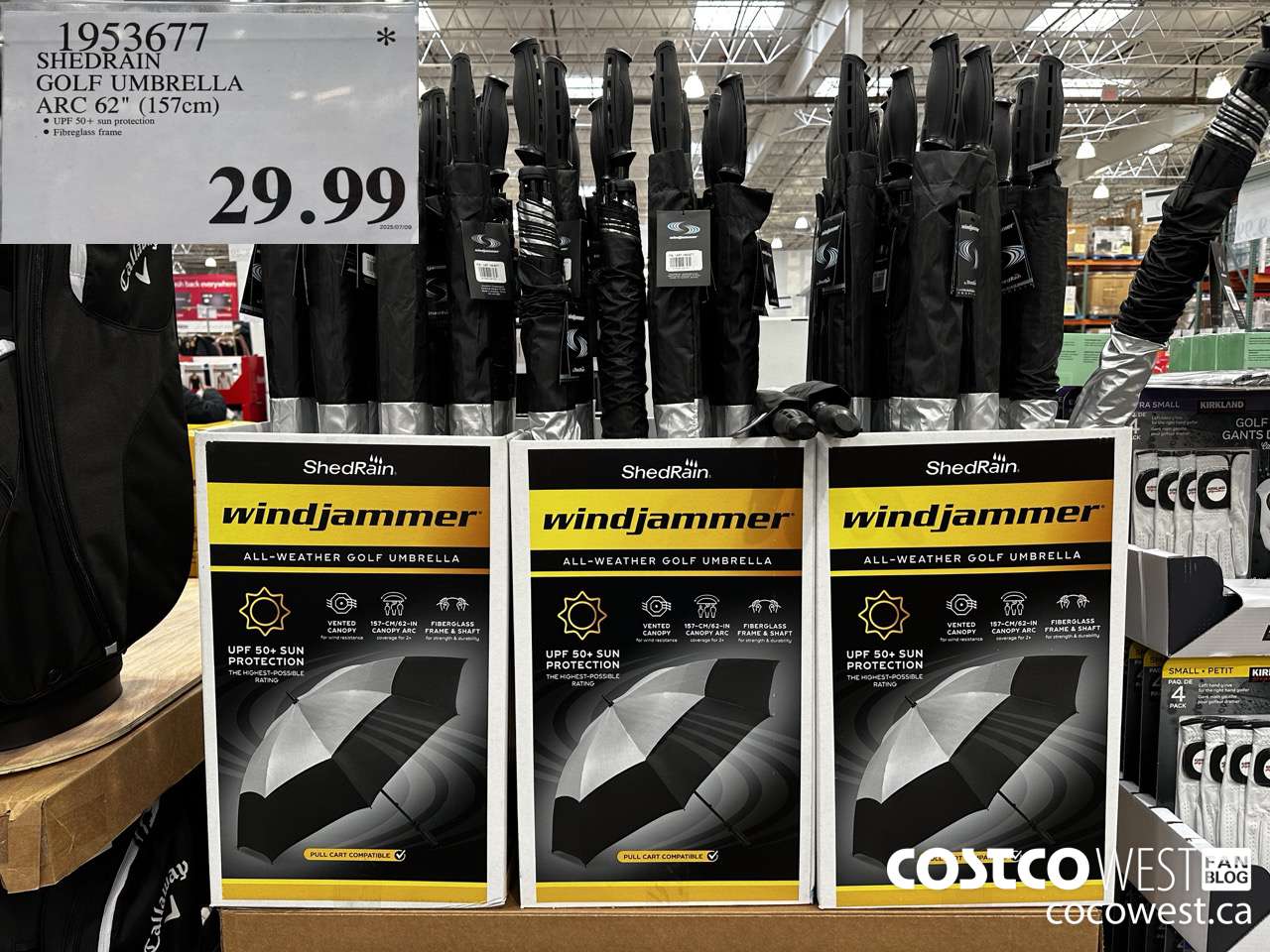 1953677 SHEDRAIN GOLF UMBRELLA ARC 62