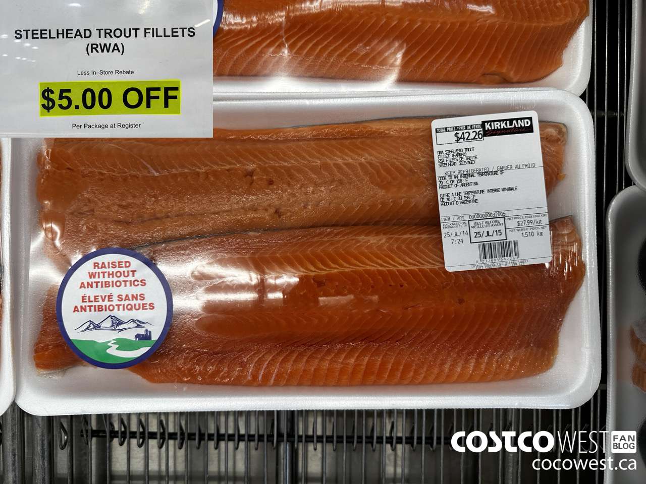 32605 STEELHEAD TROUT FILLETS ($5.00 INSTANT SAVINGS)