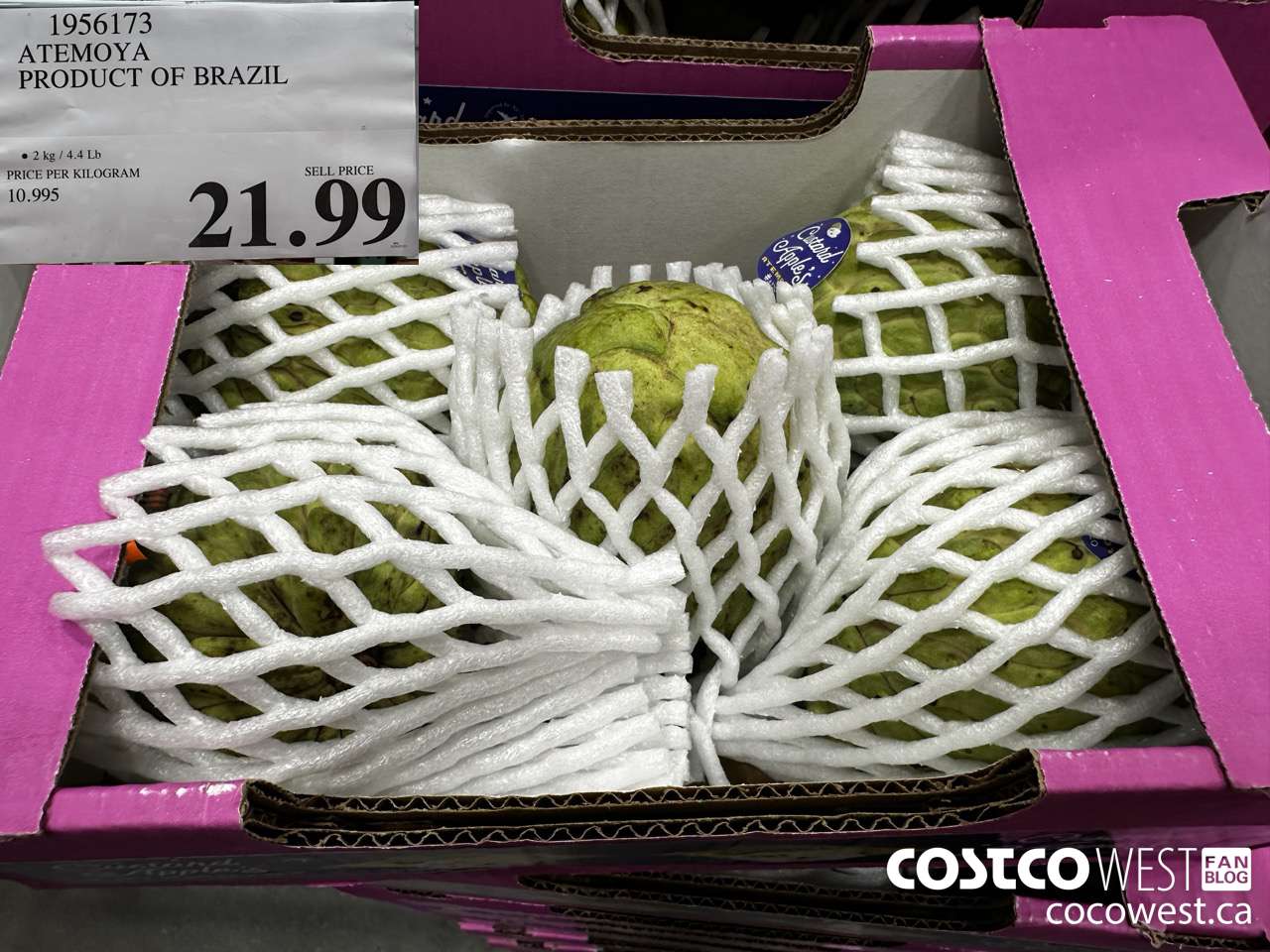 1956173 ATEMOYA PRODUCT OF BRAZIL $21.99