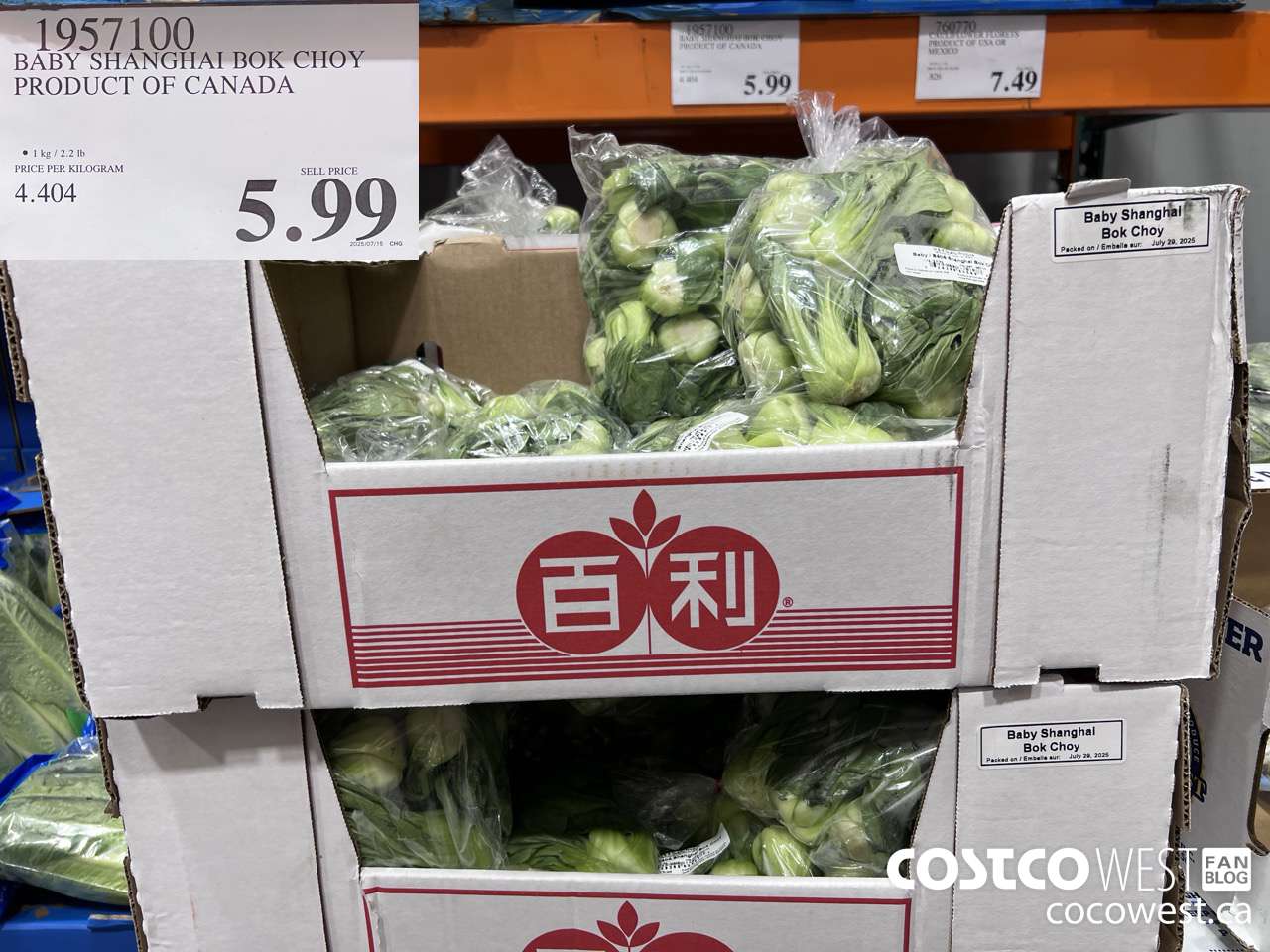1957100 BABY SHANGHAI BOK CHOY PRODUCT OF CANADA $5.99