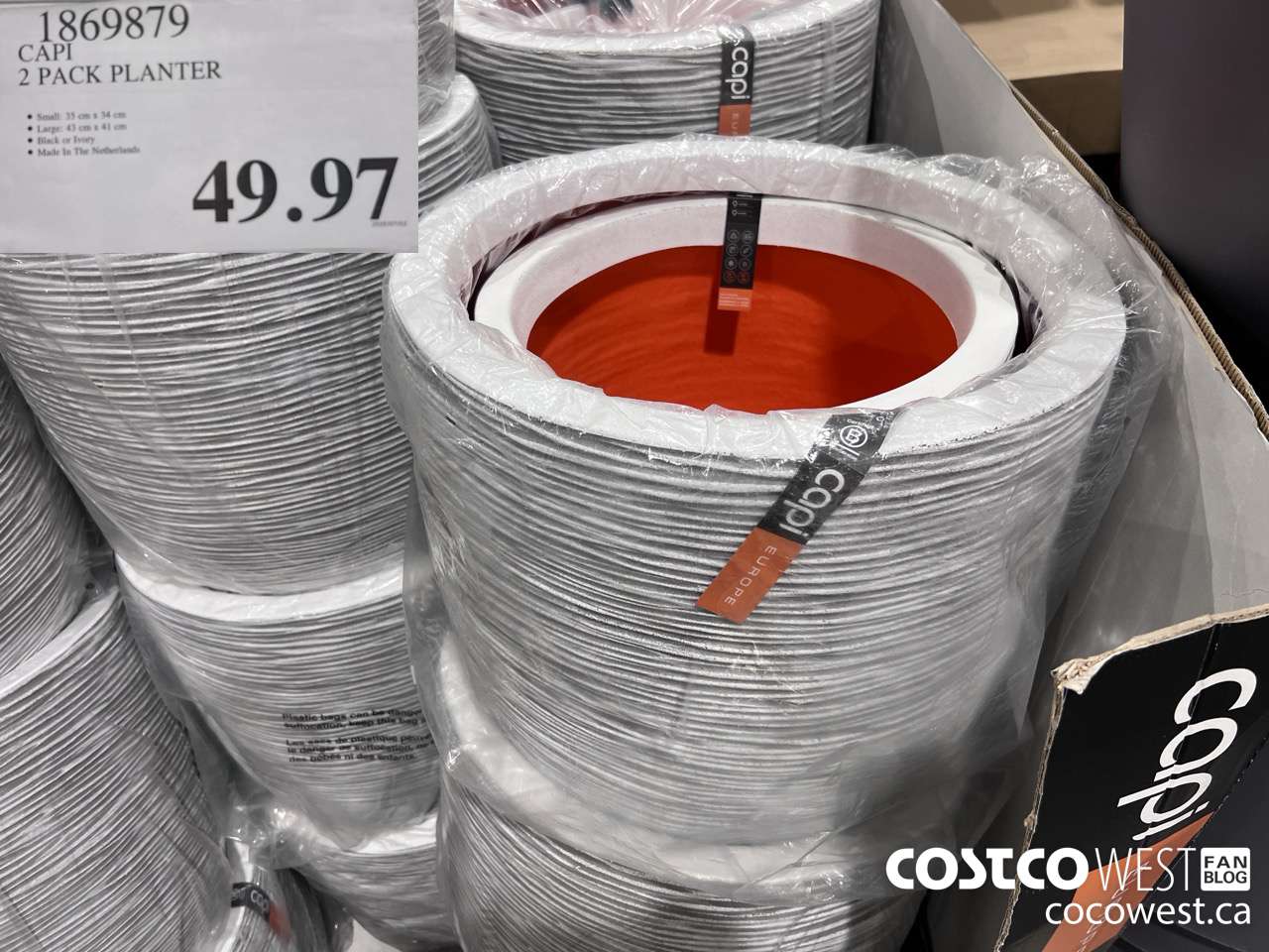 1869879 CAPI 2 PACK PLANTER $49.97