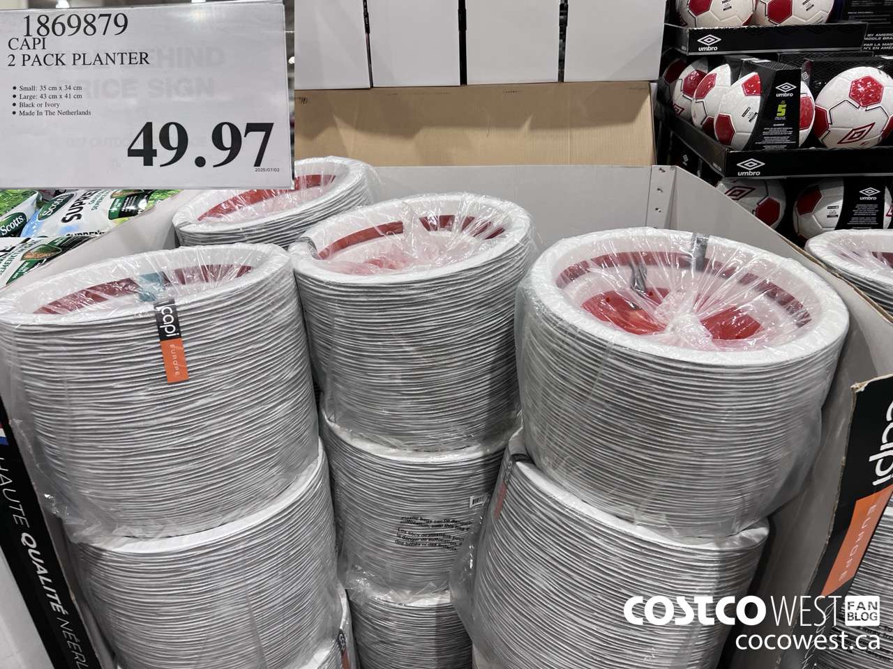 1869879 CAPI 2 PACK PLANTER $49.97