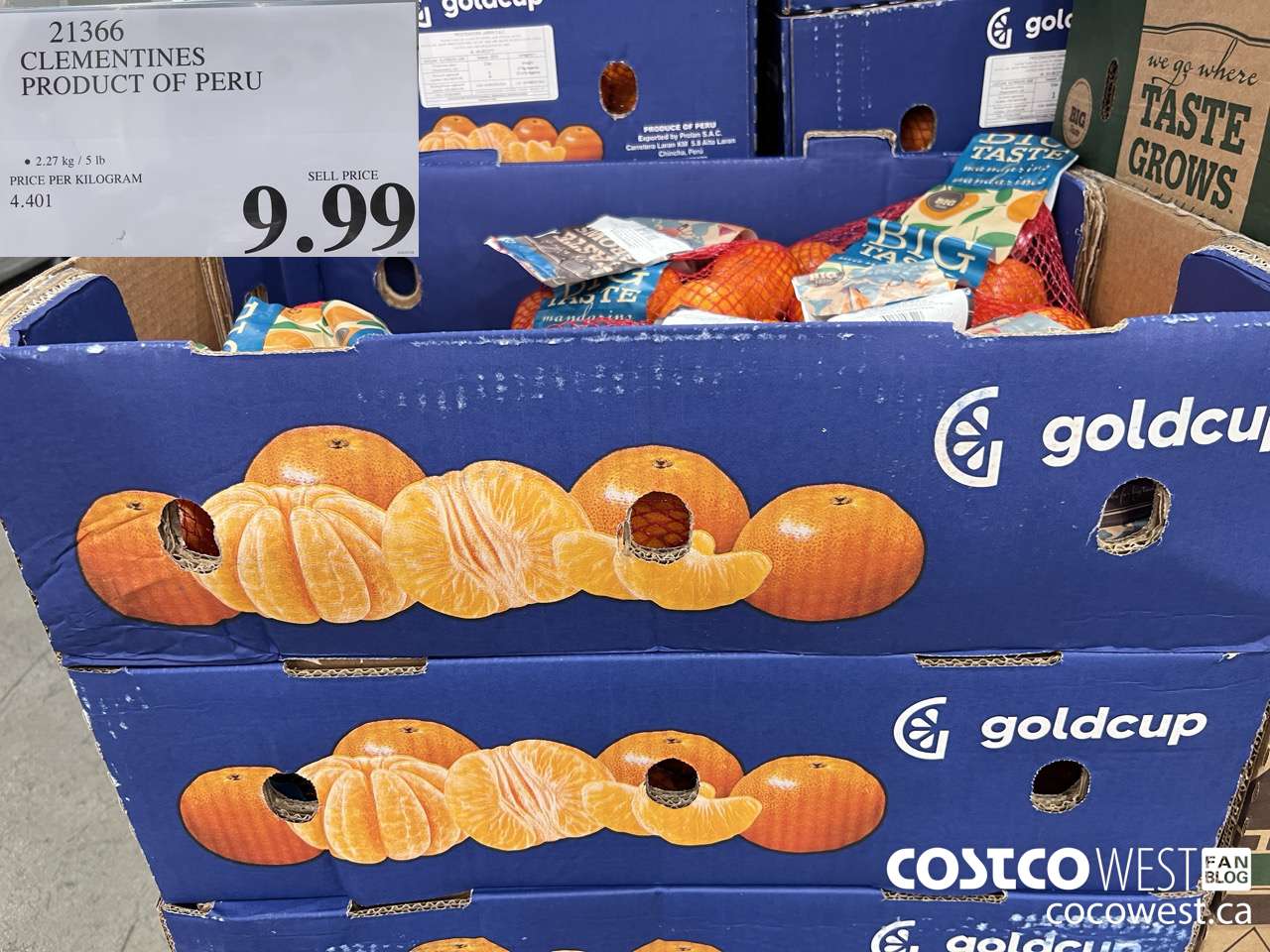 21366 CLEMENTINES PRODUCT OF PERU $9.99