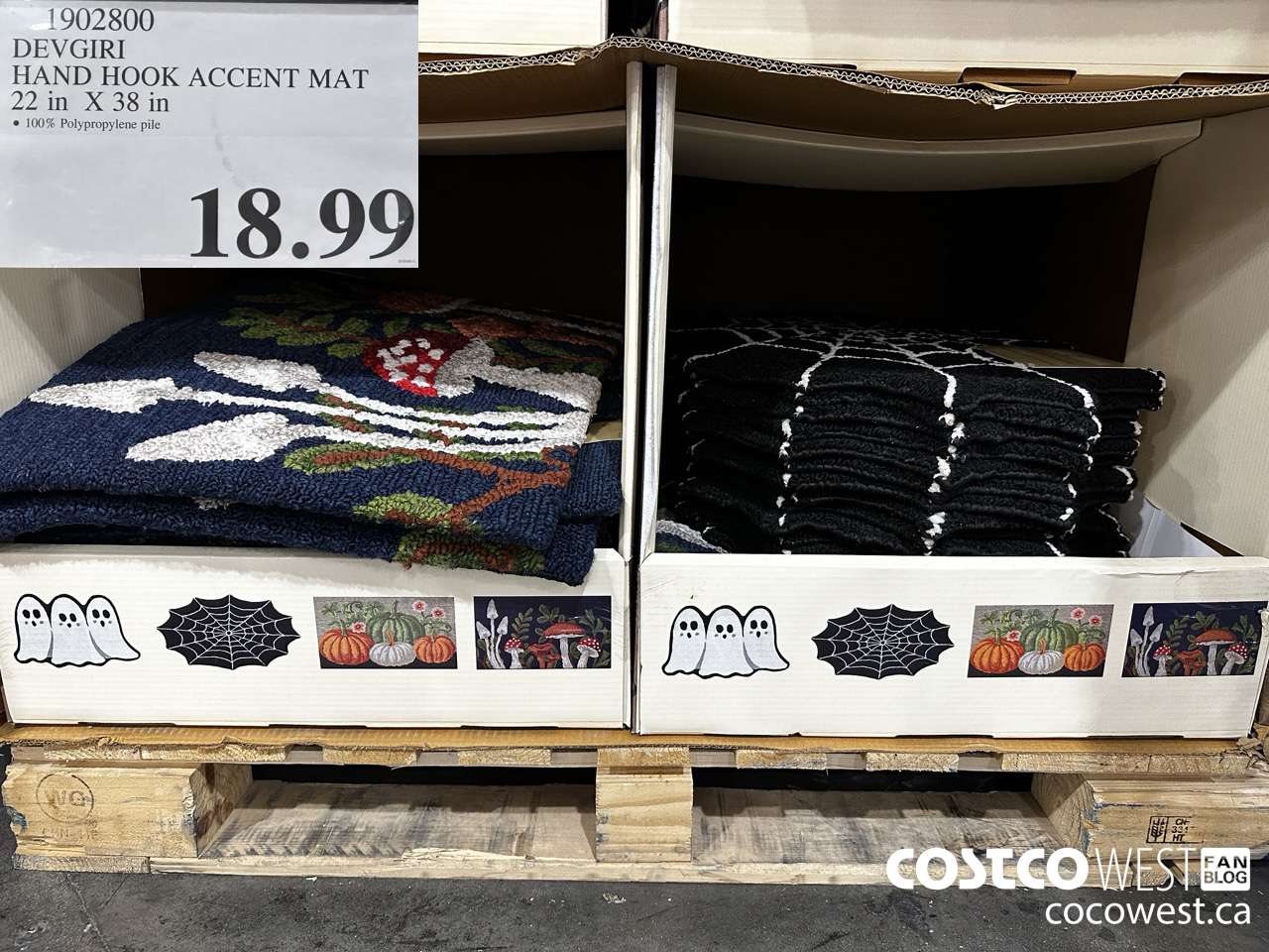 1902800 DEVGIRI HAND HOOK ACCENT MAT 22IN X 38IN $18.99