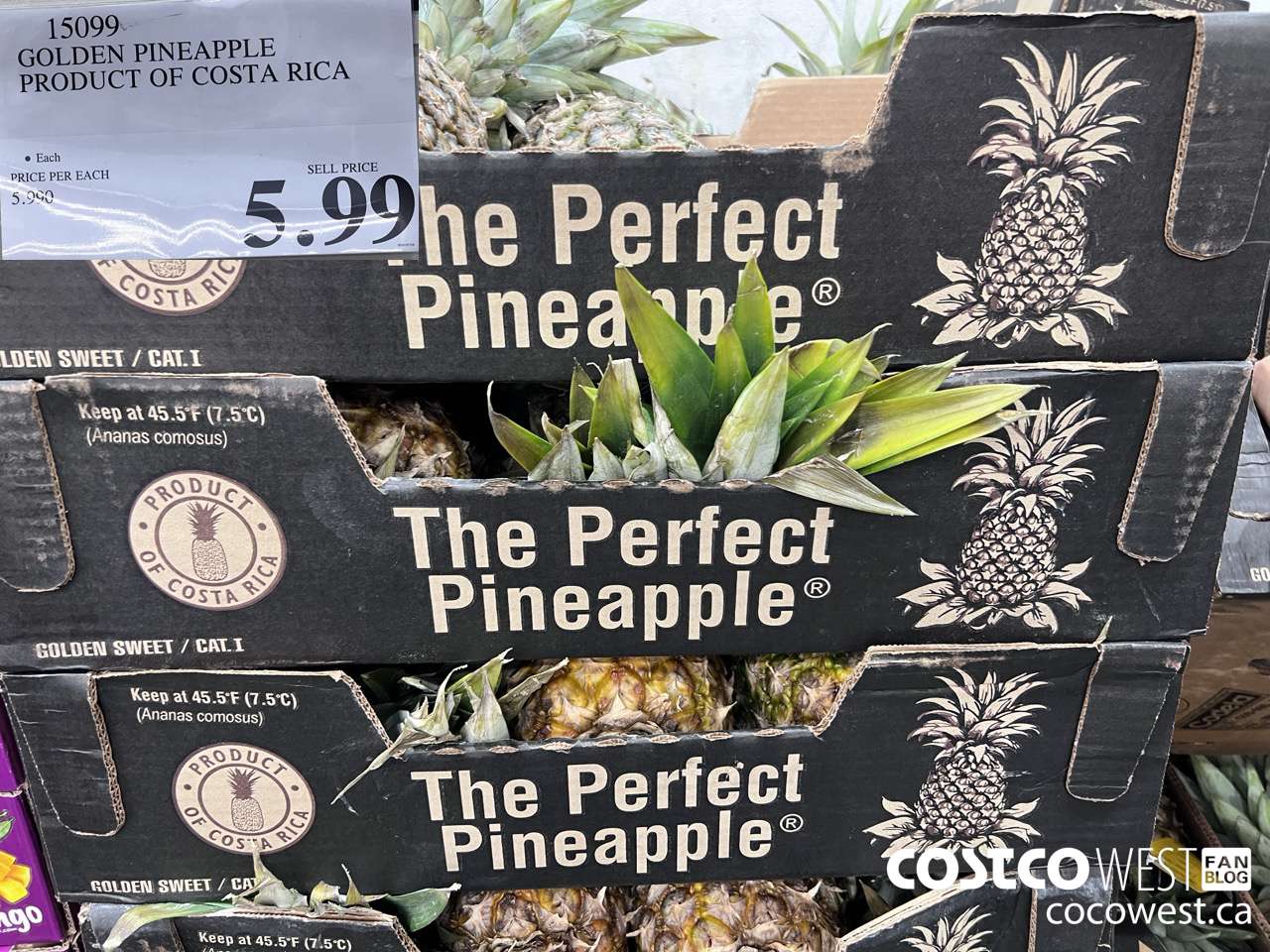 15099 GOLDEN PINEAPPLE PRODUCT OF COSTA RICA $5.99