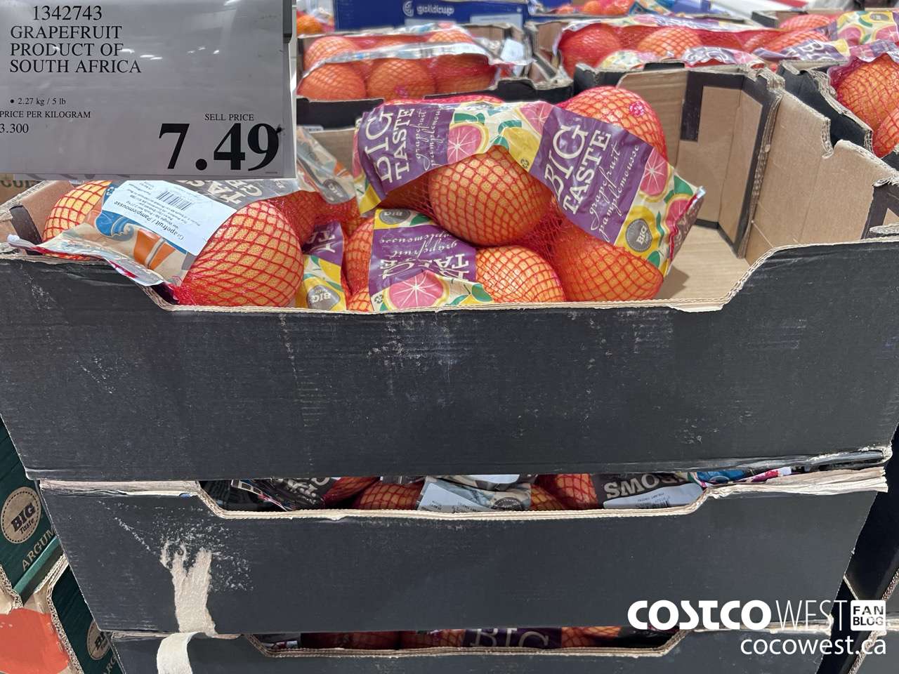 1342743 GRAPEFRUIT PRODUCT OF SOUTH AFRICA $7.49