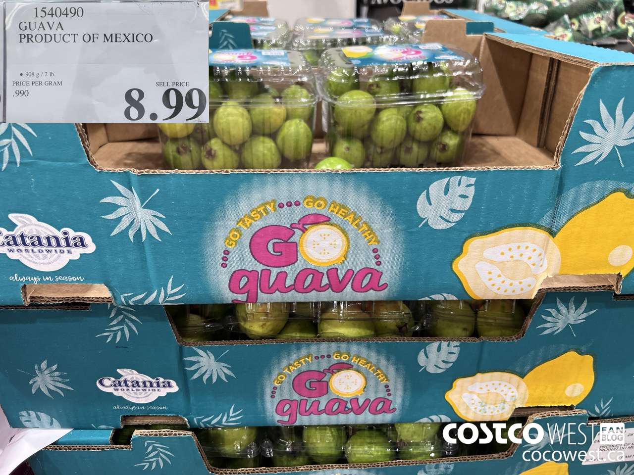 1540490 GUAVA PRODUCT OF MEXICO $8.99