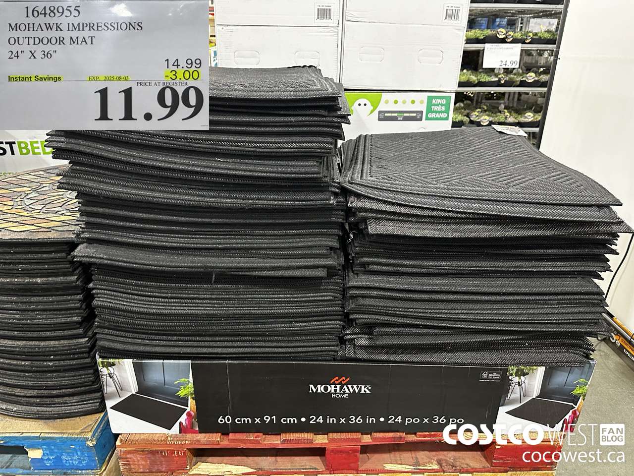 1648955 IMPRESSIONS DOOR MAT 24