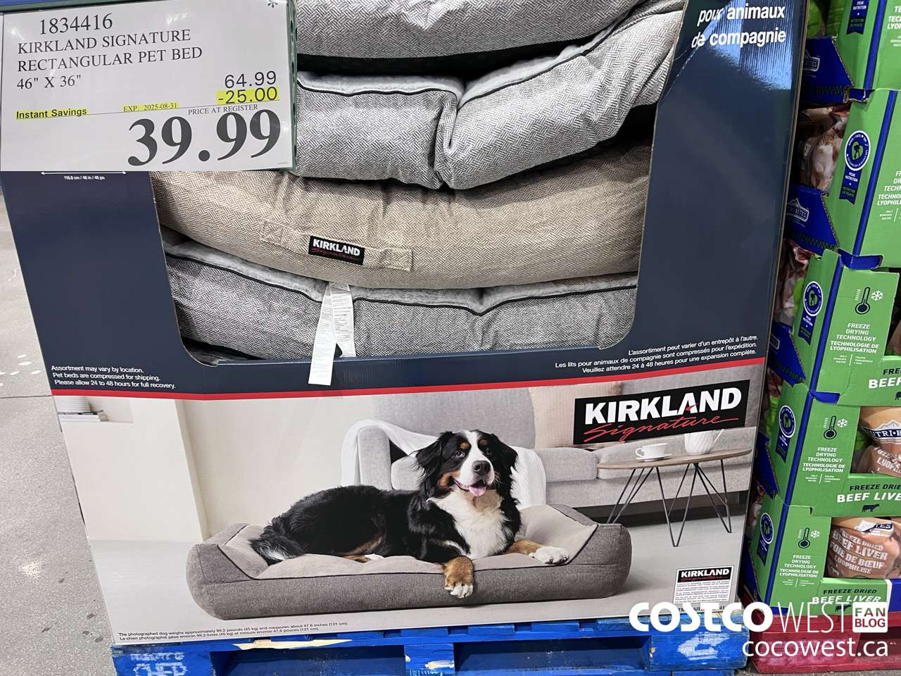 1834416 KIRKLAND SIGNATURE RECTANGULAR PET BED 46
