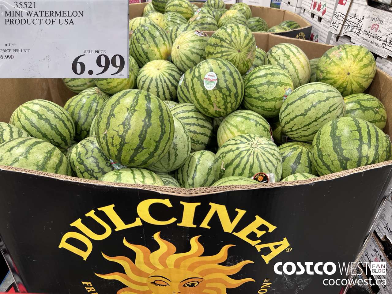 35521 MINI WATERMELON PRODUCT OF USA $6.99