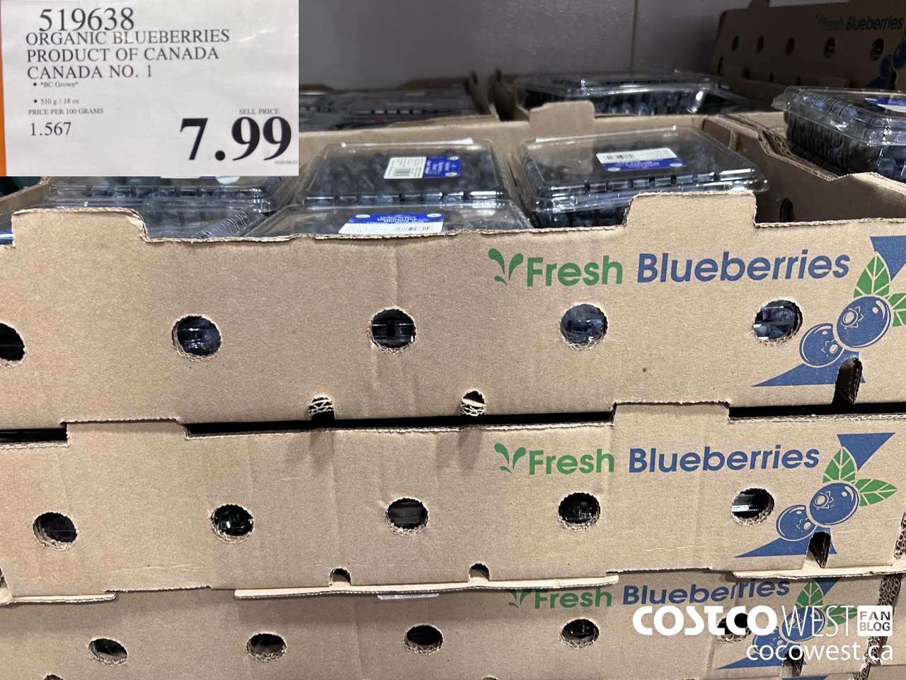 519638 ORGANIC BLUEBERRIES PRODUCT OF CANADA CANADA NO. 1 $7.99