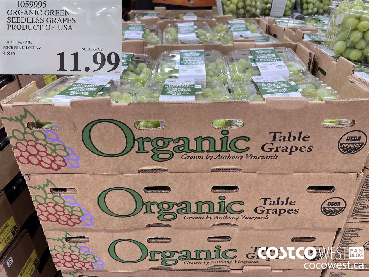 1059995 ORGANIC GREEN SEEDLESS GRAPES PRODUCT OF USA $11.99