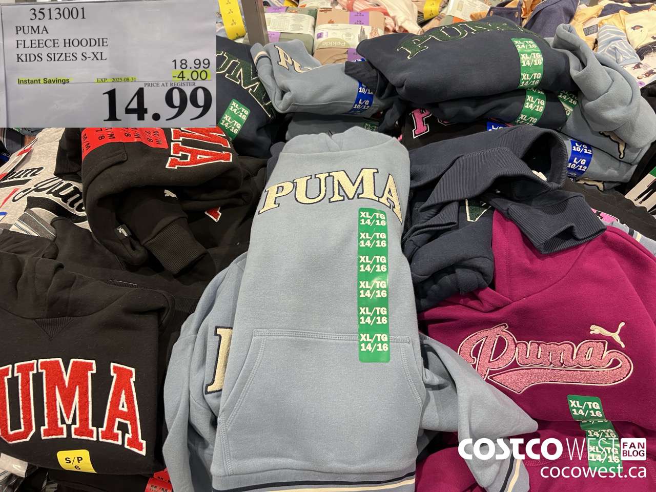 3513001 PUMA FLEECE HOODIE BOYS SIZES S-XL ($4.00 INSTANT SAVINGS EXPIRES ON 2025-08-31) $14.99