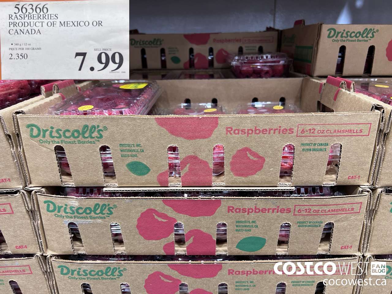 56366 RASPBERRIES PRODUCT OF MEXICO OR CANADA $7.99