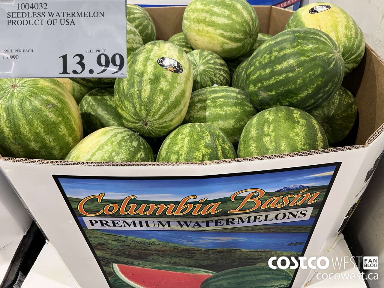 1004032 SEEDLESS WATERMELON PRODUCT OF USA $13.99